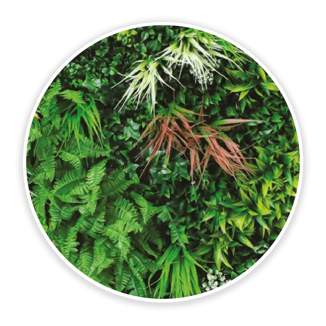 Jungle wall